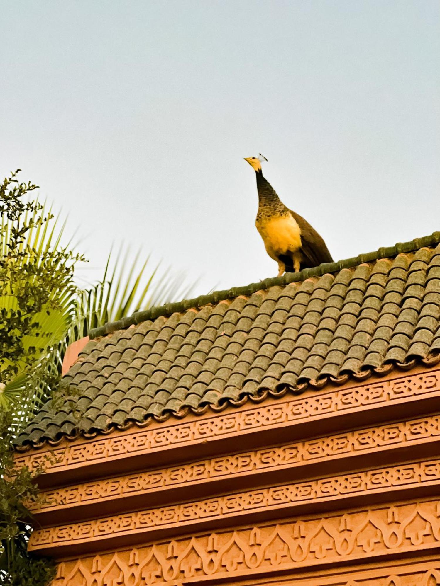 Guest House Qodwa Sidi Abdallah Ghiat Exteriér fotografie